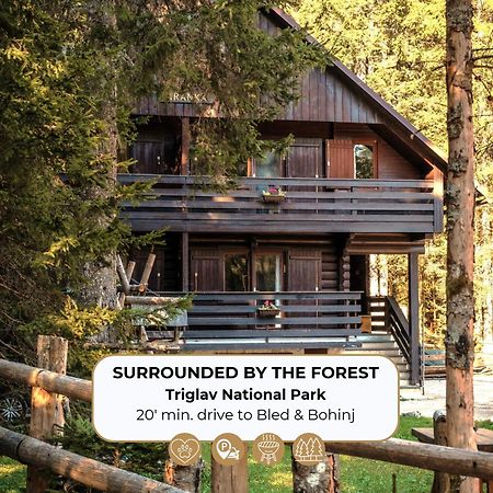 Forest Apartments Pokljuka Zgornje Gorje Eksteriør bilde