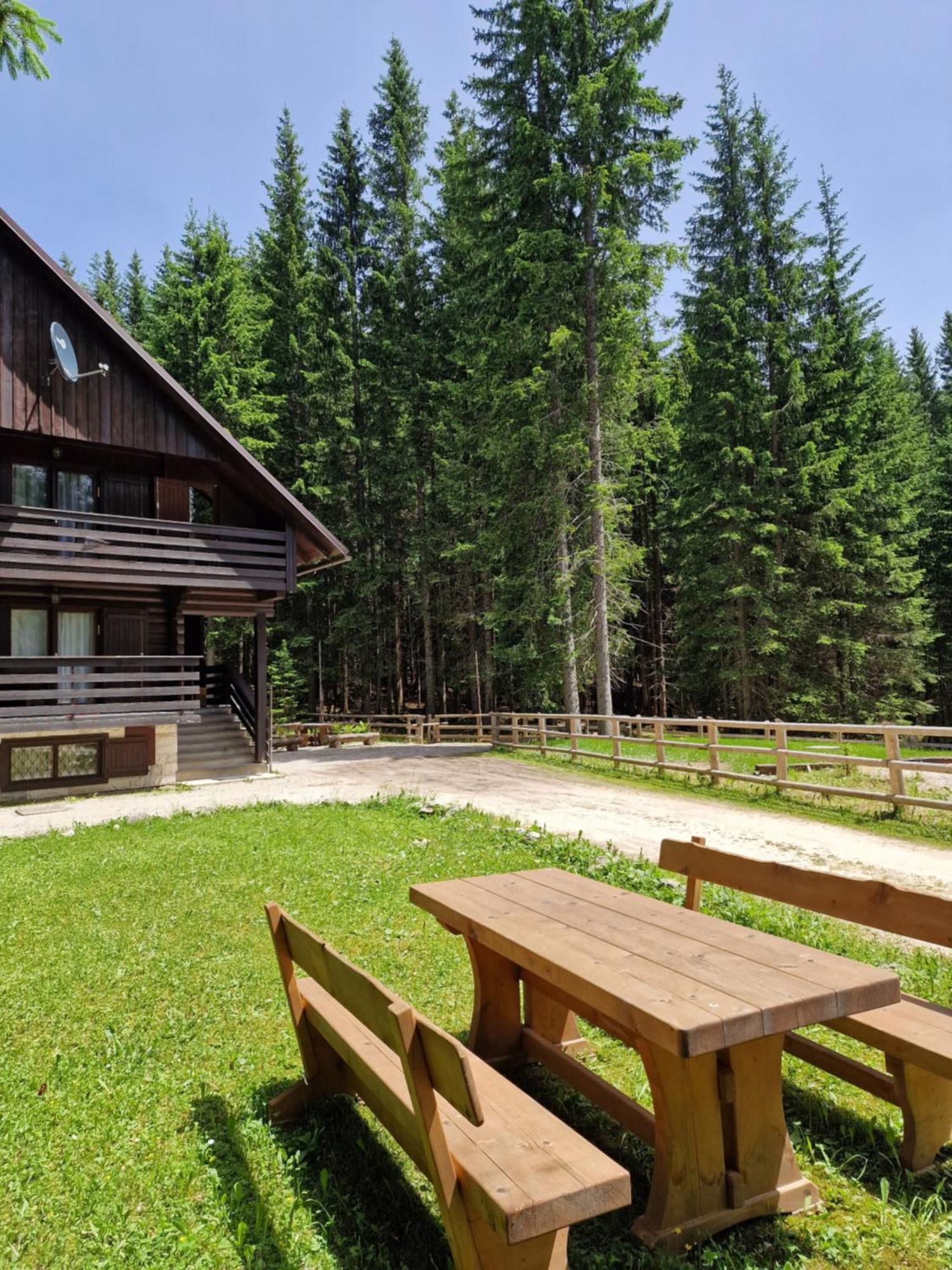 Forest Apartments Pokljuka Zgornje Gorje Eksteriør bilde