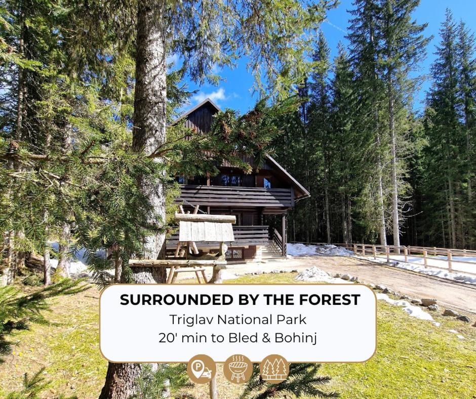 Forest Apartments Pokljuka Zgornje Gorje Eksteriør bilde