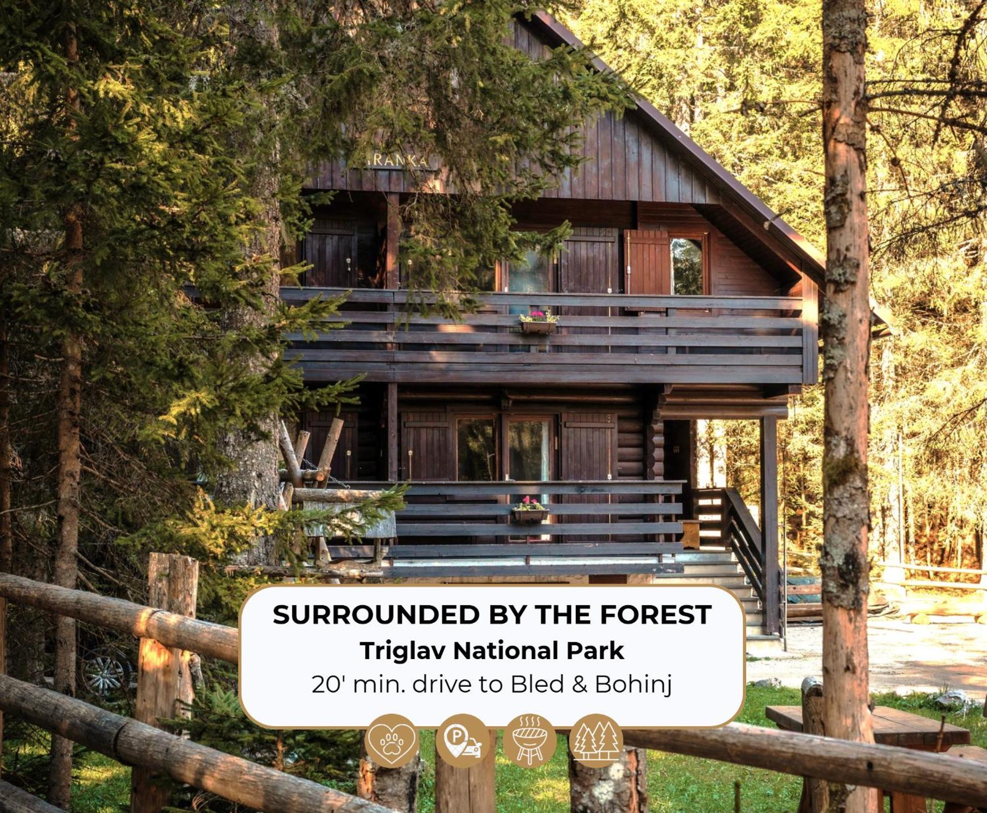Forest Apartments Pokljuka Zgornje Gorje Eksteriør bilde