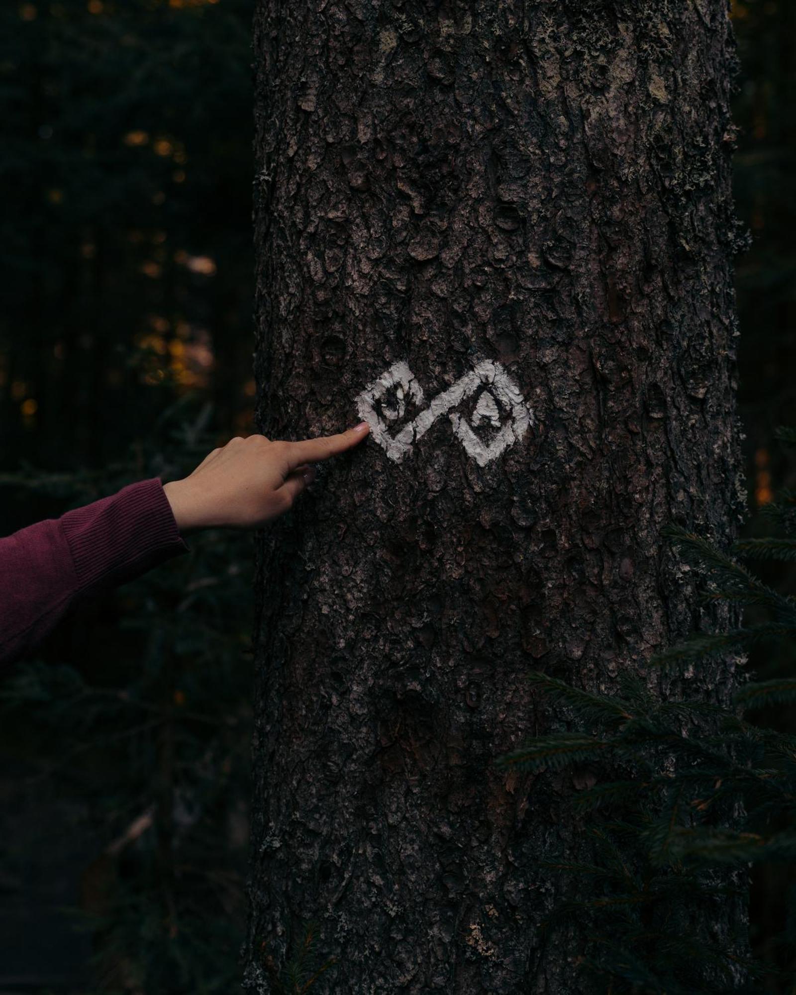 Forest Apartments Pokljuka Zgornje Gorje Eksteriør bilde