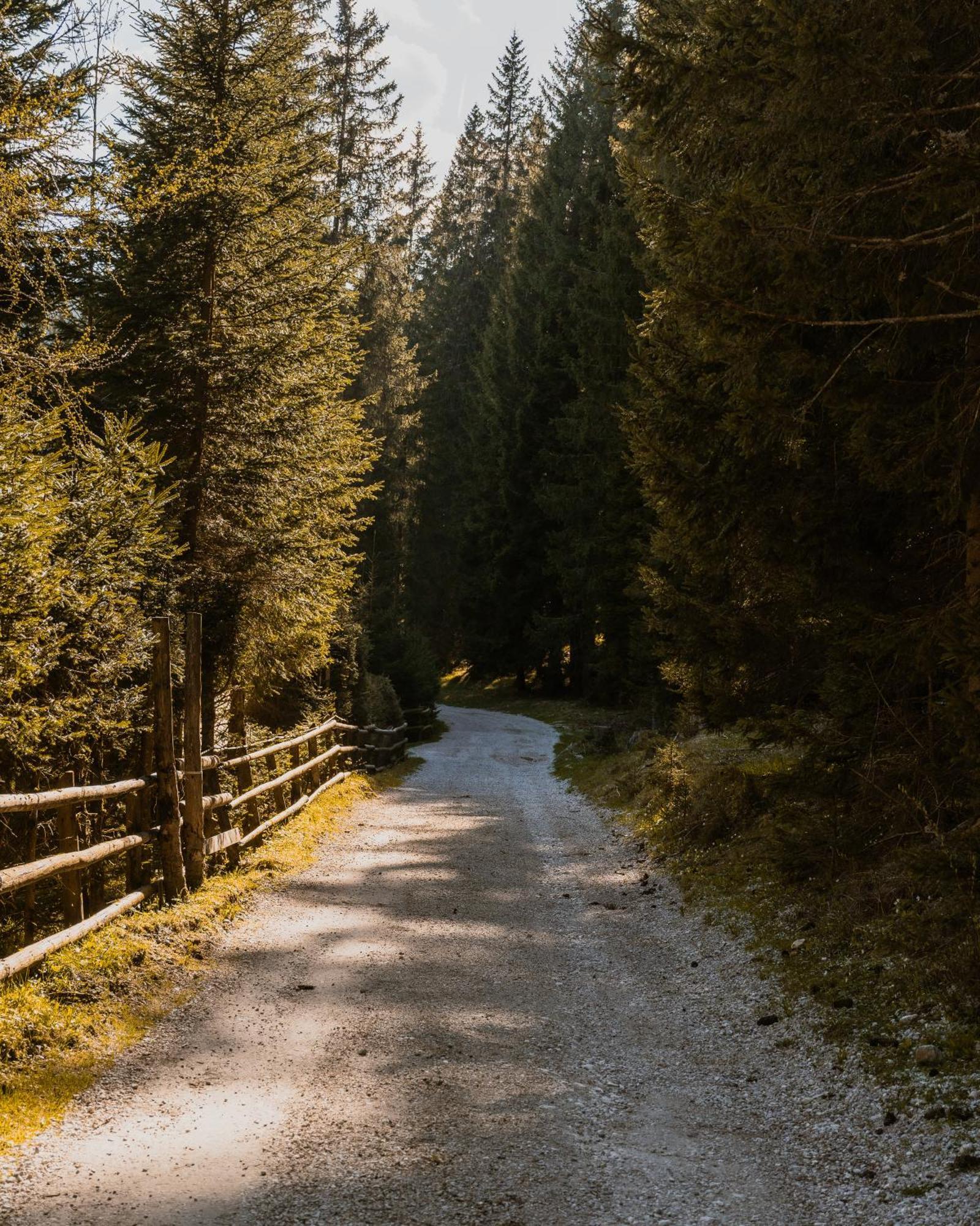 Forest Apartments Pokljuka Zgornje Gorje Eksteriør bilde
